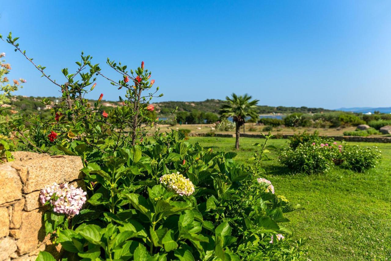 Residenze Coda Cavallo Apartment *