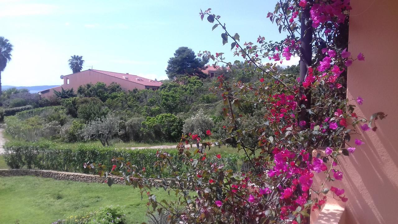 Residenze Coda Cavallo Apartment San Teodoro (Sardinia)